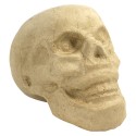 Crâne en papier maché - 12 cm