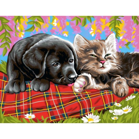 Peinture par numéros 30x40cm - Comme chien et chat