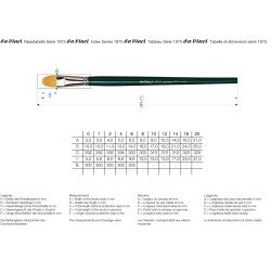 Brosse usée bombée Nova en fibre synthétique, série 1875