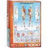 Puzzle 1000 pièces - Le corps humain