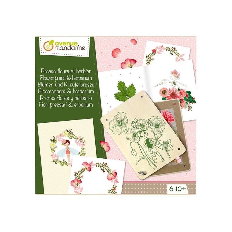Boîte créative - Presse-fleurs et herbier