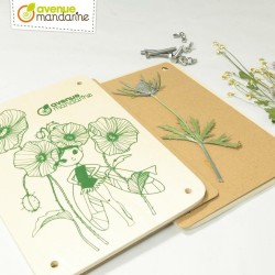 Boîte créative - Presse-fleurs et herbier