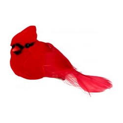 Set oiseaux sur pince x6pcs - Cardinal rouge