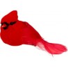 Set oiseaux sur pince x6pcs - Cardinal rouge