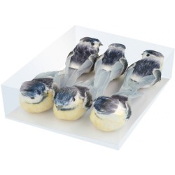 Set oiseaux sur pince x6pcs - Mésanges