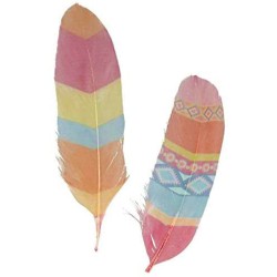 Plumes imprimées x6 - Totem