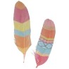 Plumes imprimées x6 - Totem