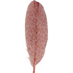 Plumes imprimées x6 - Isatis