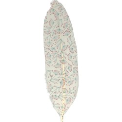 Plumes imprimées x6 - Isatis