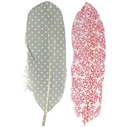 Plumes imprimées x6 - Barok