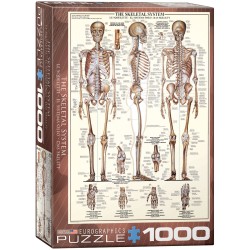 Puzzle 1000 pièces - Le squelette