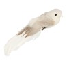 Set oiseaux sur pince x6pcs - Oiseaux blancs
