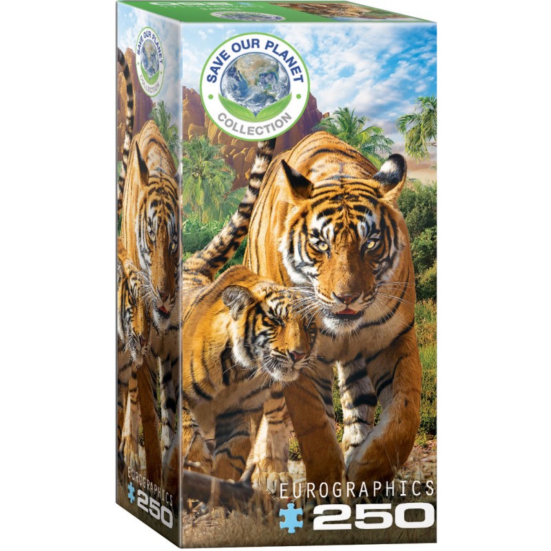 Puzzle 250 pièces -  Tigres