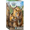 Puzzle 250 pièces -  Tigres