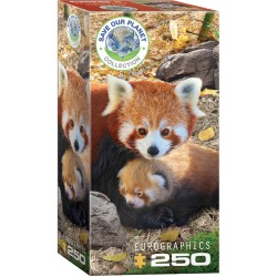Puzzle 250 pièces -  Pandas roux