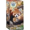 Puzzle 250 pièces -  Pandas roux
