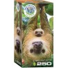 Puzzle 250 pièces -  Paresseux