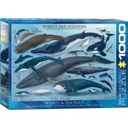Puzzle 1000 pièces - Baleines et dauphins