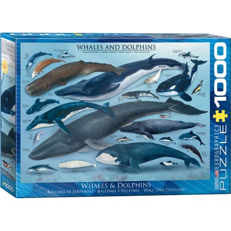 Puzzle 1000 pièces - Baleines et dauphins