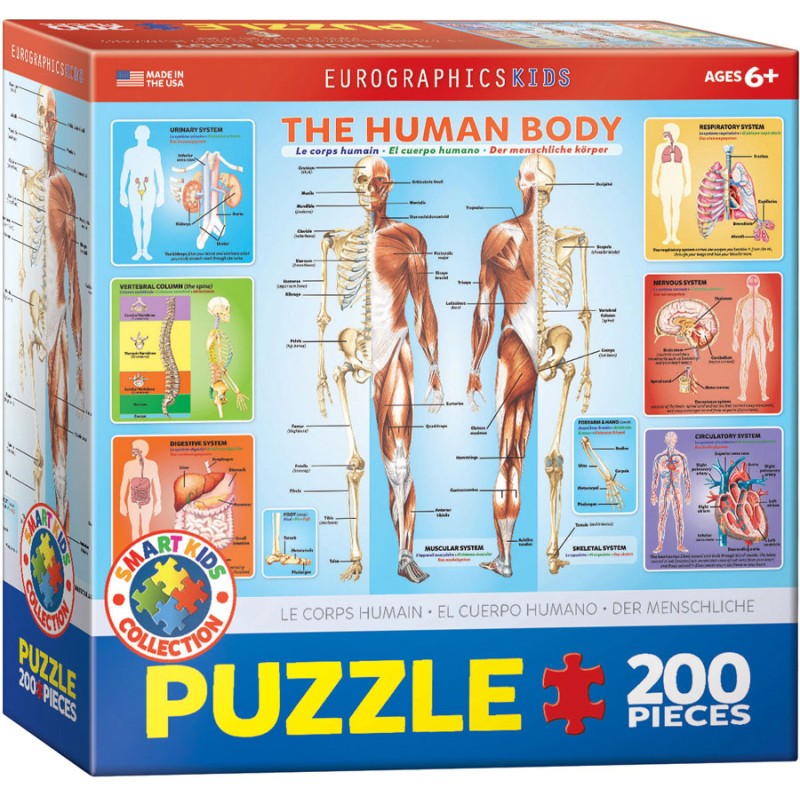 Puzzle 200 pièces - Le corps humain