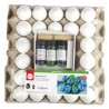 Kit de 24 oeufs à marbrer, tons froids