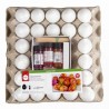 Kit de 24 oeufs à marbrer, tons chauds