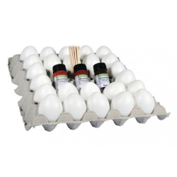 Kit de 24 oeufs à marbrer, tons chauds