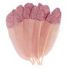 Plumes paillettes x6 - Isatis