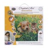 Kit tableau à diamanter Crystal Art 30x30cm - Chat et chien pré