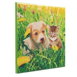 Kit tableau à diamanter Crystal Art 30x30cm - Chat et chien pré