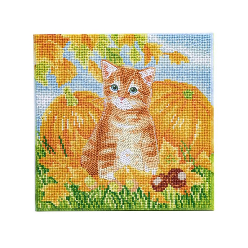 Kit tableau à diamanter Crystal Art 30x30cm - Chat d'automne