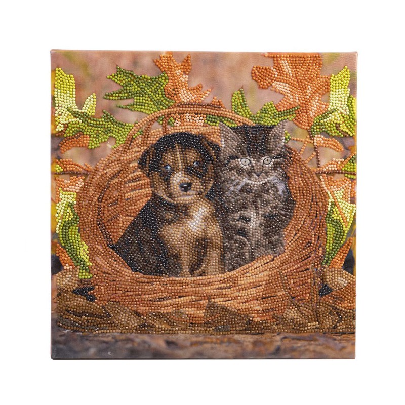 Kit tableau à diamanter Crystal Art 30x30cm - Chiot et chaton dans un panier