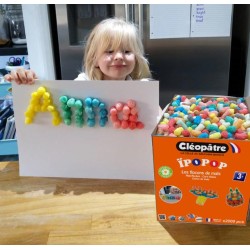 Carton de flocons de maïs IPOPOP à assembler x2000pcs