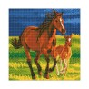 Kit tableau à diamanter Crystal Art 30x30cm - Premiers galops