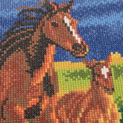 Kit tableau à diamanter Crystal Art 30x30cm - Premiers galops