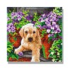 Kit tableau à diamanter Crystal Art 30x30cm - Chien et fleurs