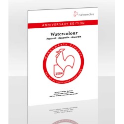 Bloc aquarelle Edition Anniversaire 425 g/m², 15 fls collées