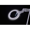 Lampe loupe Omega 5 Daylight