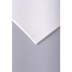 Paquet de 10 feuilles papier à grain Clairefontaine 50x65 cm