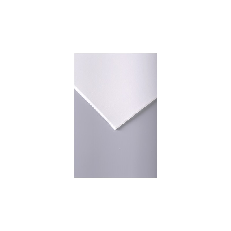 Paquet de 10 feuilles papier à grain Clairefontaine 50x65 cm