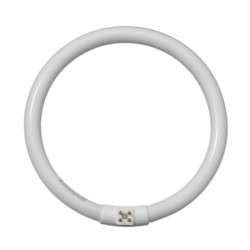 Tube circulaire Daylight 22W