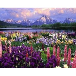 Peinture par numéros 40x50cm sur toile roulée - Fleurs et lac de montagne