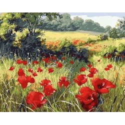 Peinture par numéros sur chassis 40x50cm - Coquelicots champêtres