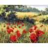 Peinture par numéros sur chassis 40x50cm - Coquelicots champêtres