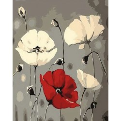 Peinture par numéros 40x50cm sur toile roulée - Fleurs rouge et blanches