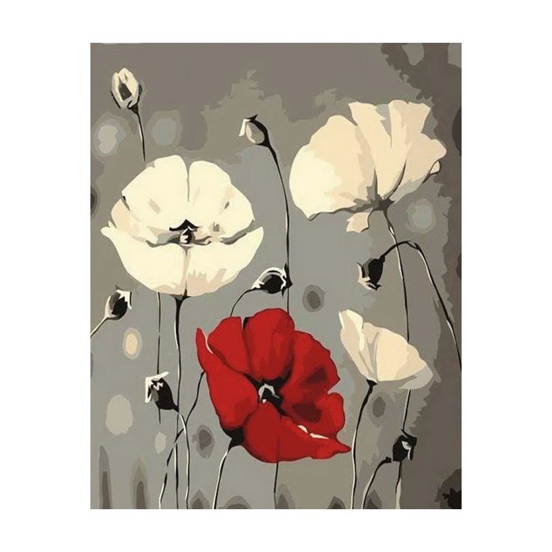Peinture par numéros 40x50cm sur toile roulée - Fleurs rouge et blanches
