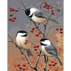 Peinture par numéros sur chassis 40x50cm - Oiseaux et arbre fruitier