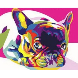 Peinture par numéros sur chassis 40x50cm - Carlin Pop Art