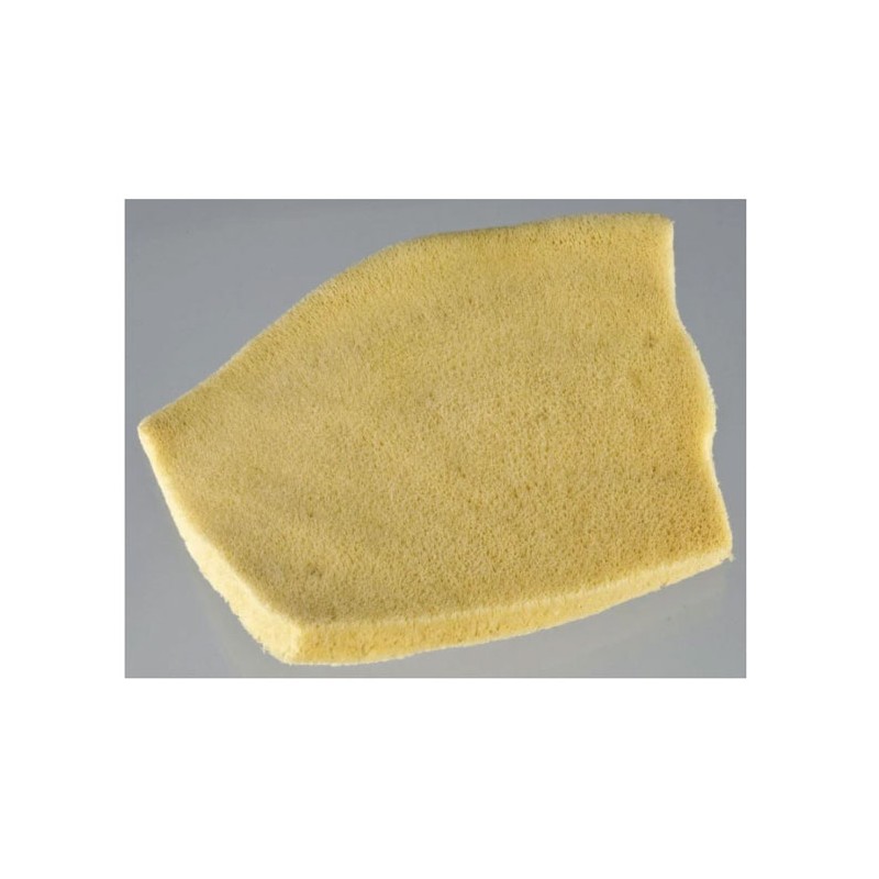 Eponge "Oreille d'éléphant" pour artistes