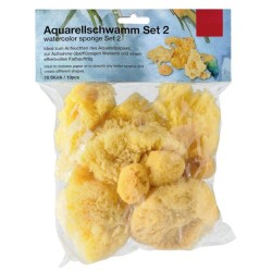 Lot d'éponges naturelles assorties pour artistes